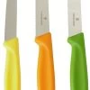 Victorinox Schilmessenset Bright - 3-Delig -Westmark Winkel 1280