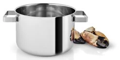 Eva Solo Kookpan Nordic Kitchen RVS - ø 20 Cm / 4 Liter -Westmark Winkel 281240 Nordic Kitchen Pot 4l 20cm regi HIGH