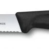 Victorinox Tomaten- / Worst- / Kaasmes Met Vorkpunt - Zwart 1 Victorinox Tomaten- / Worst- / Kaasmes Met Vorkpunt - Zwart -Westmark Winkel 310621 kaasmes en worstjes victorinox 11 cm zwart