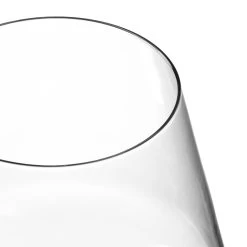 Leonardo Bourgogne Glazen / Gin Tonic Glazen Puccini - 730 Ml - 6 Stuks -Westmark Winkel 4045037695559 06