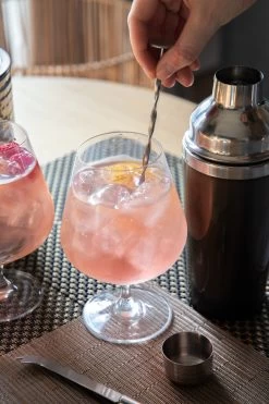 BarCraft Gin Cocktail Gift Set 8 BarCraft Gin Cocktail Gift Set -Westmark Winkel 5028250713025 4