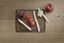 Victorinox Messenset Swiss Classic - Lichtroze - 3-delig -Westmark Winkel 7613329142004 2