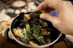 Anovi Mosselbestek - Verguld - 2-delig -Westmark Winkel 8 Mosselen Anovi 8 1