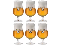 Alfa Bierglas Sommelier - 250 Ml - 6 Stuks