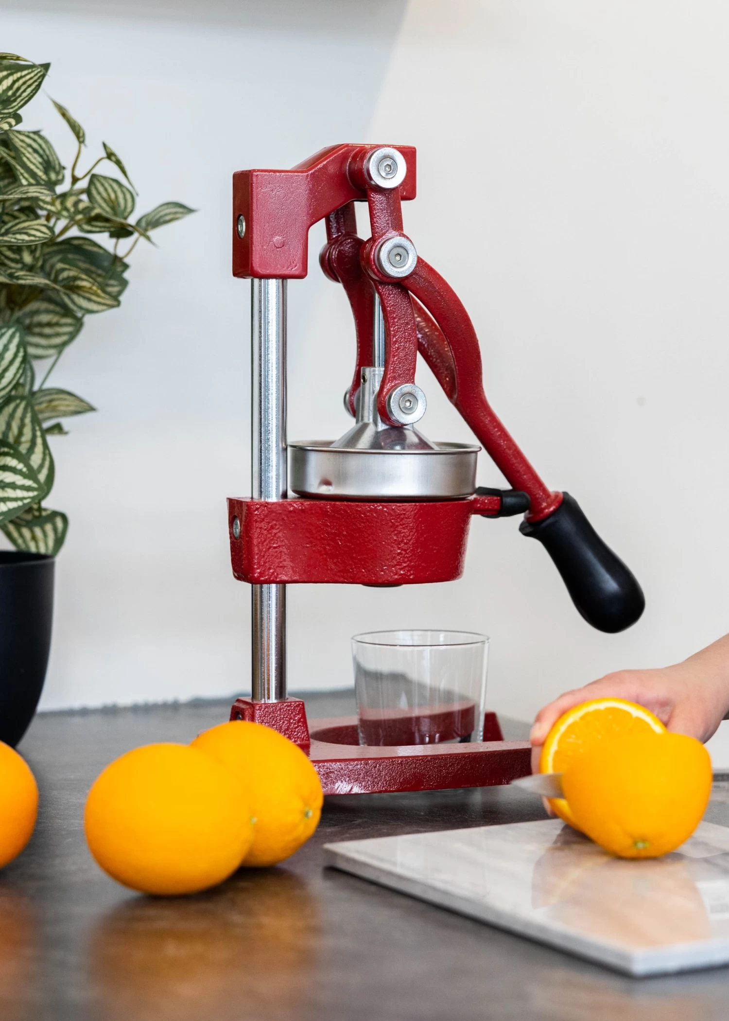 Sareva Citruspers - Gietijzer - Hevelmodel - Rood 4 Sareva Citruspers - Gietijzer - Hevelmodel - Rood - Afbeelding 2