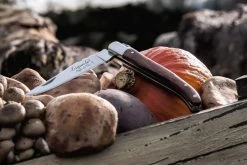 Laguiole Style De Vie Zakmes Rozenhout -Westmark Winkel Laguiole zakmes rozenhout sf gr 10