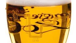 Brugse Zot Bierglas - 330 Ml - 6 Stuks 11 Brugse Zot Bierglas - 330 Ml - 6 Stuks -Westmark Winkel Merkbier gevuld 6