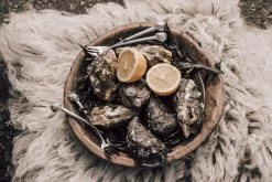 Anovi Oestervorkjes - 4 Stuks -Westmark Winkel Oysterforks 2