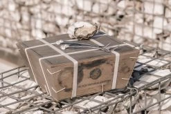 Anovi Oestervorkjes - 4 Stuks -Westmark Winkel Oysterforks