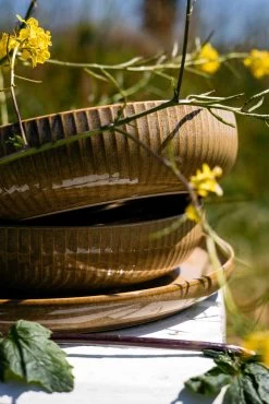 Jay Hill Ontbijtborden Silhouette ø 21 Cm - 4 Stuks 13 Jay Hill Ontbijtborden Silhouette ø 21 Cm - 4 Stuks -Westmark Winkel Resize Silhoutte Geel 5