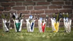 Villeroy & Boch Bestekset Play! - Green Garden - 24 Delig / 6 Personen -Westmark Winkel Villeroy Boch bestek 23 9