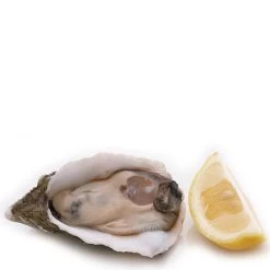 Westmark Oesteropener Zwart/RVS -Westmark Winkel Westmark Oesteropener Zwart 2