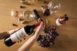 Sareva Wijnopener Set (met Wijnstopper. Foliesnijder & Schenktuit) 10 Sareva Wijnopener Set (met Wijnstopper. Foliesnijder & Schenktuit) -Westmark Winkel Wijnopener 08