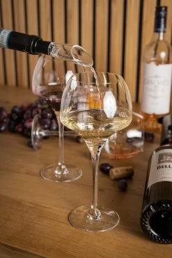 Sareva Wijnopener Set (met Wijnstopper. Foliesnijder & Schenktuit) 12 Sareva Wijnopener Set (met Wijnstopper. Foliesnijder & Schenktuit) -Westmark Winkel Wijnopener 12