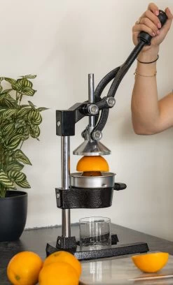 Sareva Citruspers - Gietijzer - Hevelmodel - Zwart 13 Sareva Citruspers - Gietijzer - Hevelmodel - Zwart -Westmark Winkel citruspers 4 1