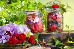 Bormioli Rocco Weckpot Fido 11 X 11 Cm / 1.5 Liter 9 Bormioli Rocco Weckpot Fido 11 X 11 Cm / 1.5 Liter -Westmark Winkel e000316 3