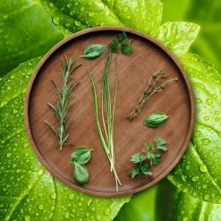 ASA Selection Pizzabord / Onderbord Wood ø 30 Cm -Westmark Winkel grande wood holzteller kraeuter 2 2