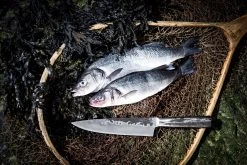 Forged Koksmes Intense 20.5 Cm -Westmark Winkel intkoksmes 55B15D