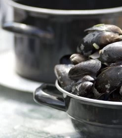 Cosy & Trendy Mosselpan - Oranje - ø 18 Cm / 2.8 Liter -Westmark Winkel mosselpan 4