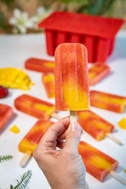 Sareva IJsjesmaker Voor 10 Ijsjes - Rood - Siliconen + 150 Houten IJsstokjes -Westmark Winkel sareva ijsjesmaker 2