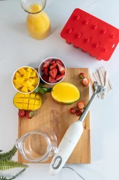 Sareva IJsjesmaker - 10 Ijsjes - Rood - Siliconen - Easy Release - Herbruikbaar -Westmark Winkel sareva ijsjesvorm