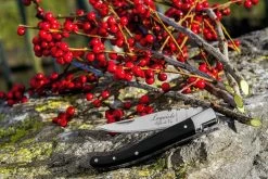 Laguiole Style De Vie Zakmes Zwart Ebbenhout -Westmark Winkel sf zakmes zwart ebbenhout 7 gr